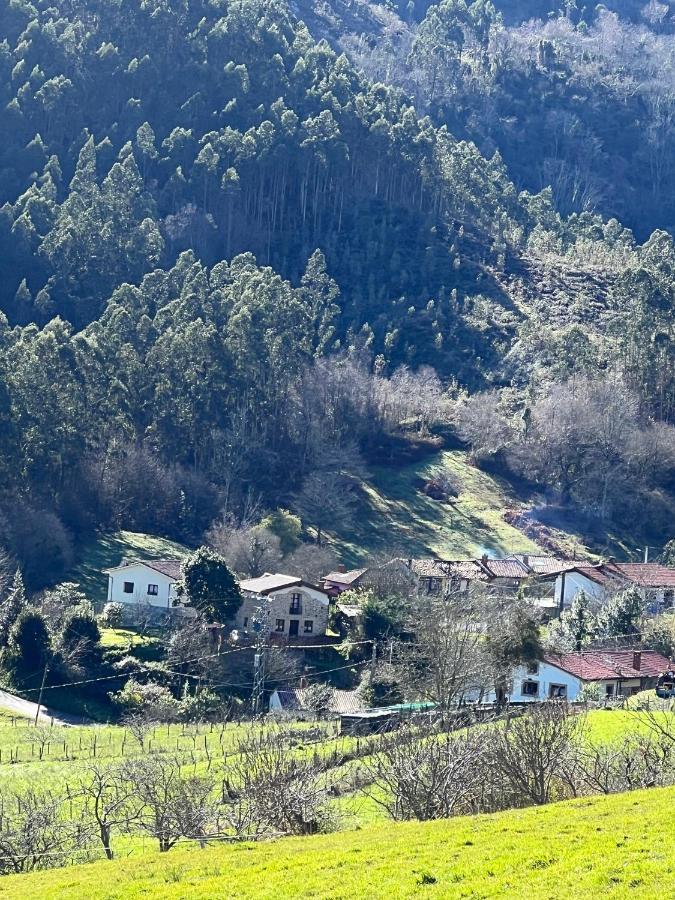 La Vierta Casa Rural Agroturismo Ribadesella Ngoại thất bức ảnh
